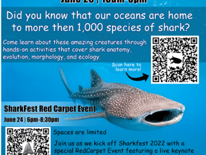 sharkfest flyer for green school PD 2022